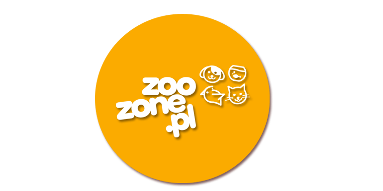 Zobacz, jakie to proste! Instrukcja poruszania się po nowej stronie zoozone.pl!