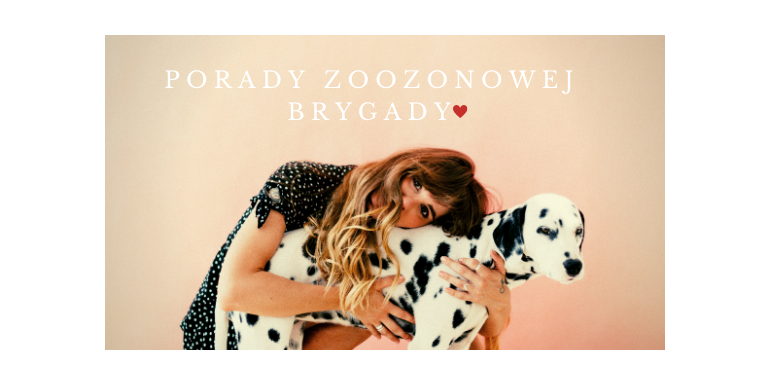 Porady naszej brygady!