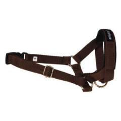 AMIPLAY Halter Basic - Brązowy