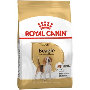 ROYAL CANIN Beagle Adult karma sucha dla psów dorosłych rasy beagle