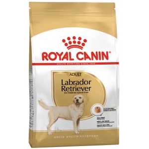 ROYAL CANIN Labrador Retriever Adult