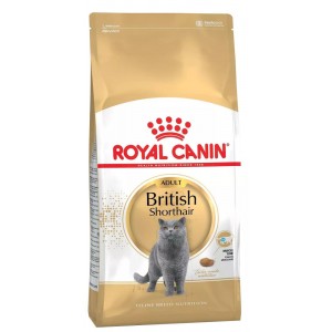 ROYAL CANIN British Shorthair karma sucha dla kotów dorosłych rasy brytyjski krótkowłosy