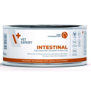 VETEXPERT 4T Vet. Diet Cat Intestinal 100g (puszka) 