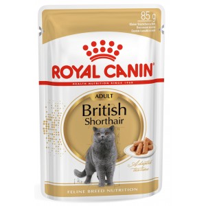 ROYAL CANIN British Shorthair - kawałki w sosie (saszetka)