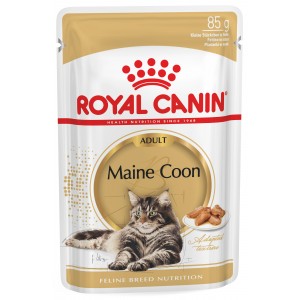 ROYAL CANIN Maine Coon karma mokra w sosie dla kotów dorosłych rasy maine coon