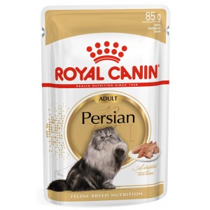 ROYAL CANIN Persian Adult karma mokra - pasztet dla kotów dorosłych rasy perskiej
