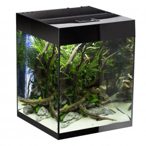 AQUAEL szafka GLOSSY CUBE 50 czarna