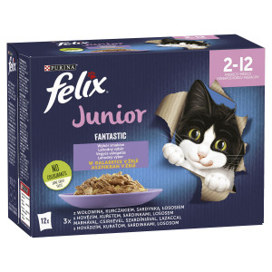 FELIX Fantastic Junior Wybór smaków w galaretce 12x 85g