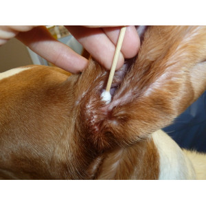 PORTICA BambooStick S/M - patyczek z wacikiem do pielęgnacji uszu