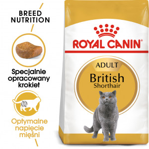 ROYAL CANIN British Shorthair karma sucha dla kotów dorosłych rasy brytyjski krótkowłosy