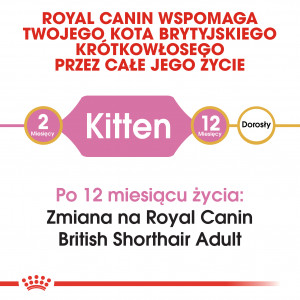 ROYAL CANIN British Shorthair Kitten karma sucha dla kociąt, do 12 miesiąca, rasy brytyjski krótkowłosy