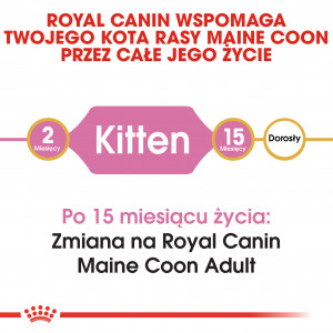 ROYAL CANIN Maine Coon Kitten karma sucha dla kociąt do 15 miesiąca, rasy maine coon