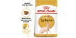 ROYAL CANIN Sphynx Adult karma sucha dla kotów dorosłych rasy sfinks