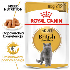 ROYAL CANIN British Shorthair karma mokra w sosie dla kotów dorosłych rasy brytyjski krótkowłosy