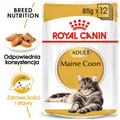 ROYAL CANIN Maine Coon karma mokra w sosie dla kotów dorosłych rasy maine coon