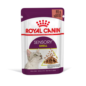 ROYAL CANIN Sensory Smell karma mokra - kawałki w sosie dla kotów dorosłych, pobudzająca wrażenia węchowe 85g
