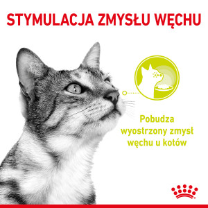 ROYAL CANIN Sensory Multipack (Smell, Taste, Feel) - kawałki w sosie dla kotów dorosłych 12x 85g
