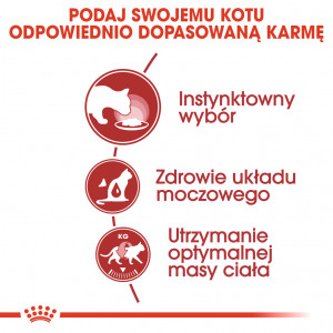 ROYAL CANIN Instinctive karma mokra w formie pasztetu dla kotów dorosłych, wybrednych