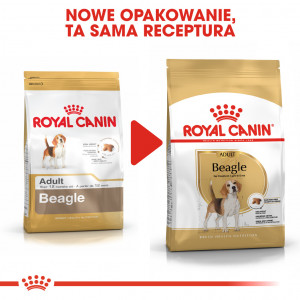 ROYAL CANIN Beagle Adult karma sucha dla psów dorosłych rasy beagle