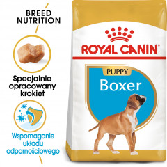 ROYAL CANIN Boxer Puppy karma sucha dla szczeniąt do 15 miesiąca, rasy bokser