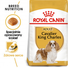 ROYAL CANIN Cavalier King Charles Adult karma sucha dla psów dorosłych rasy cavalier king charles spaniel
