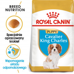 ROYAL CANIN Cavalier King Charles Puppy karma sucha dla szczeniąt do 10 miesiąca, rasy cavalier king charles spaniel
