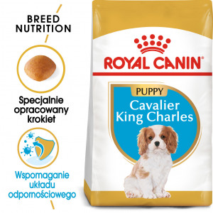 ROYAL CANIN Cavalier King Charles Puppy