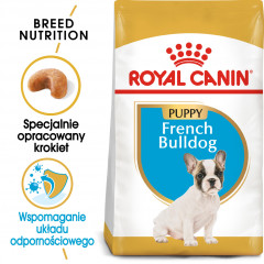 ROYAL CANIN French Bulldog Puppy karma sucha dla szczeniąt do 12 miesiąca, rasy buldog francuski