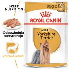 ROYAL CANIN Yorkshire Terrier Adult karma mokra - pasztet dla psów dorosłych rasy yorkshire terrier