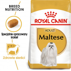 ROYAL CANIN Maltese Adult karma sucha dla psów dorosłych rasy maltańczyk