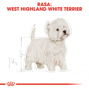 ROYAL CANIN West Highland White Terrier Adult