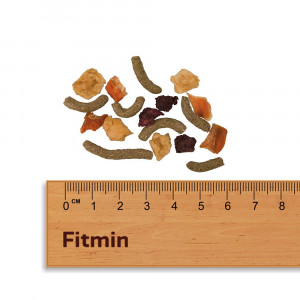 FITMIN For Friends Small Rodent - Musli dla małych gryzoni 500g