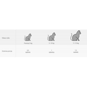 VEBIOT Skinoxan Dog 60 tab