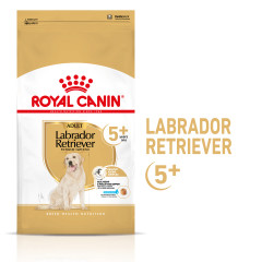 ROYAL CANIN Labrador Retriever Adult 5+ karma sucha dla dojrzałych psów rasy labrador retriever, powyżej 5 roku życia