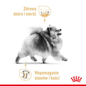 ROYAL CANIN Pomeranian Adult (saszetka)