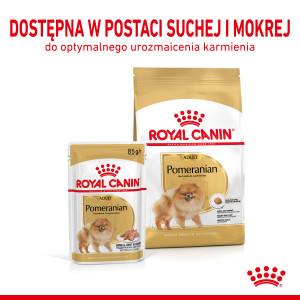 ROYAL CANIN Pomeranian Adult (saszetka)