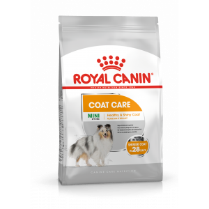 ROYAL CANIN Mini Coat Care karma sucha dla psów dorosłych ras małych, o matowej sierści