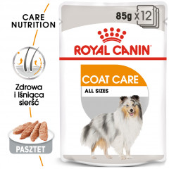 ROYAL CANIN CCN Coat Care karma mokra - pasztet dla psów dorosłych o matowej sierści
