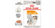 ROYAL CANIN CCN Coat Care karma mokra - pasztet dla psów dorosłych o matowej sierści