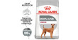 ROYAL CANIN CCN Medium Dental Care karma sucha dla psów dorosłych, ras średnich, redukująca powstawanie kamienia nazębnego