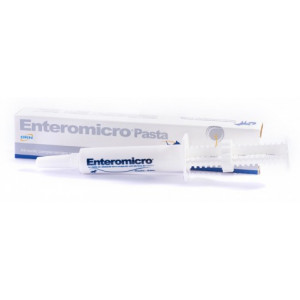 GEULINCX Enteromicro Pasta 15ml