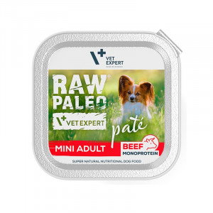 RAW PALEO Adult Large Beef