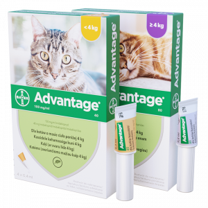 ELANCO Advantage kot powyżej 4kg (4 x 0,4ml)