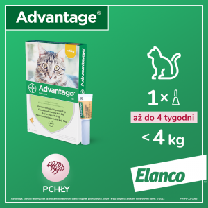 ELANCO Advantage kot powyżej 4kg (4 x 0,4ml)