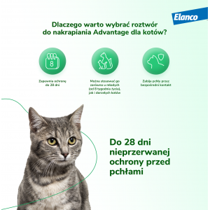 BAYER Advantage dla kotów powyżej 4kg (4 x 0,8ml)