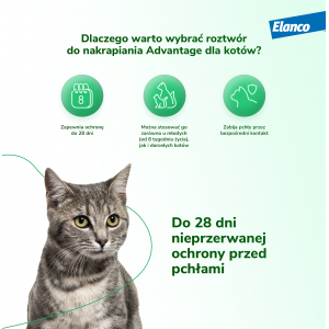 ELANCO Advantage kot powyżej 4kg (4 x 0,4ml)