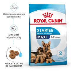 ROYAL CANIN Maxi Starter Mother & Babydog karma sucha dla suk w ciąży i okresie laktacji oraz szczeniąt ras dużych
