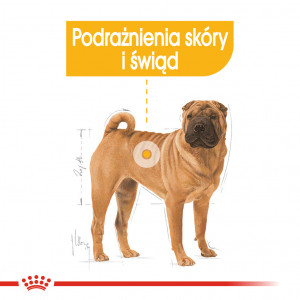 ROYAL CANIN Medium Dermacomfort karma sucha dla psów dorosłych, ras średnich, o wrażliwej skórze, skłonnej do podrażnień