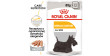 ROYAL CANIN CCN Dermacomfort karma mokra - pasztet dla psów dorosłych o wrażliwej skórze, skłonnej do podrażnień 85g