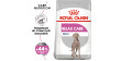 ROYAL CANIN CCN Maxi Relax Care karma sucha dla psów dorosłych, ras dużych, narażonych na działanie stresu